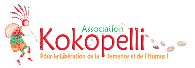 LE BLOG DE L'ASSOCIATION KOKOPELLI