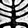 PNG - 167.9 kio